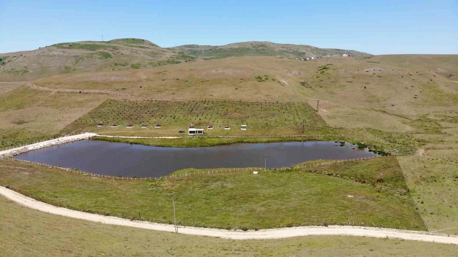 Doğal klimalı Hebüllü Yaylası Tokatlıların sıcağa karşı sığınağı oldu