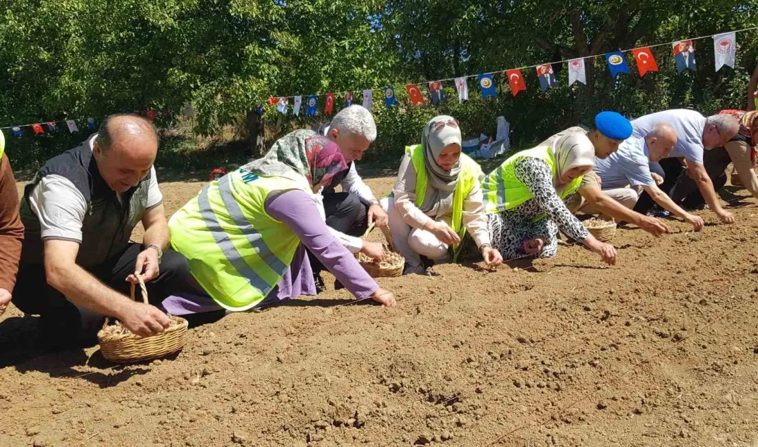 UNESCO DÜNYA MİRASI LİSTESİ’NDE