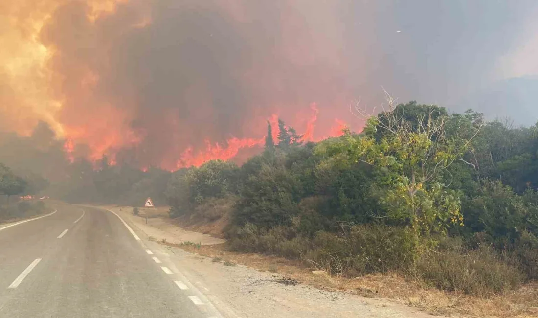 ÇANAKKALE’NİN ECEABAT İLÇESİNE BAĞLI