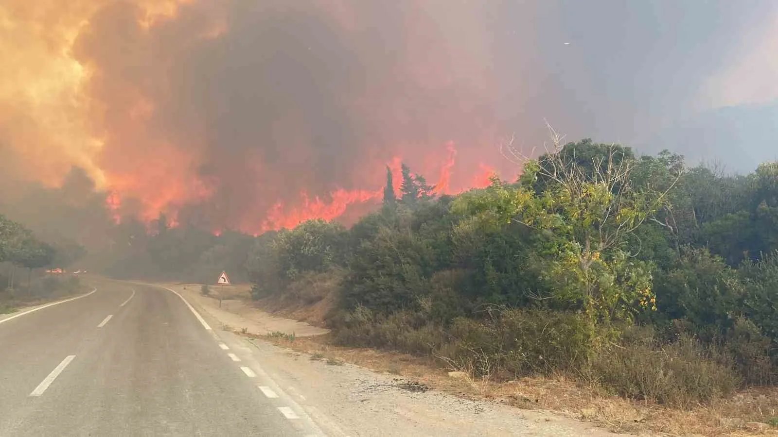 Eceabat’taki orman yangını büyüyor