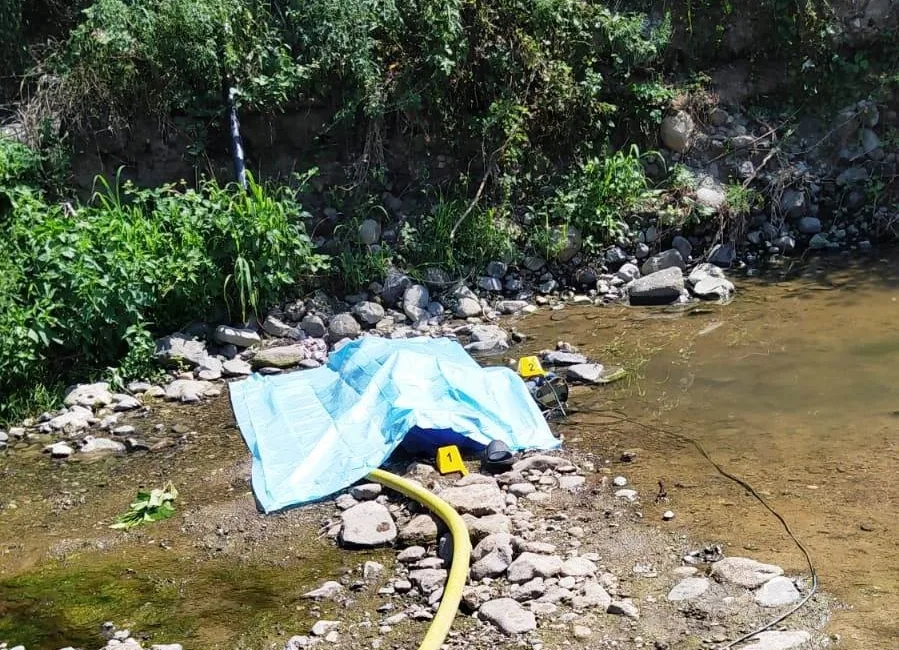 SAMSUN’UN ÇARŞAMBA İLÇESİNDE TARLADA