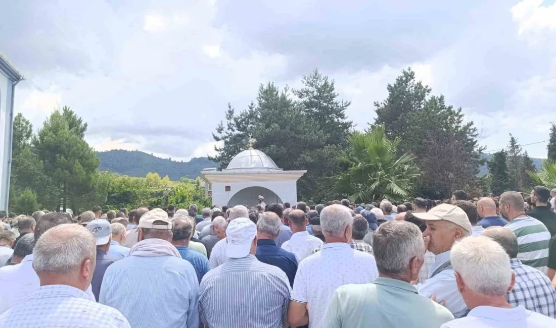 SAMSUN’UN ÇARŞAMBA İLÇESİNDE TARLADA