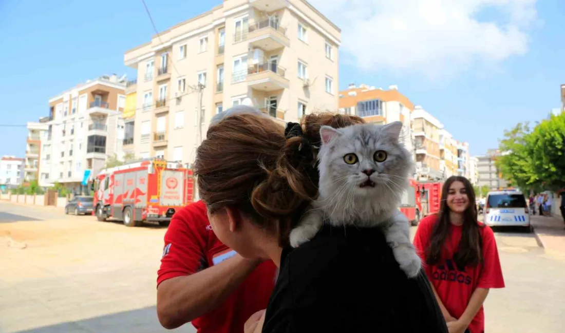 ANTALYA’DA BİR İKAMETTE ÇIKAN