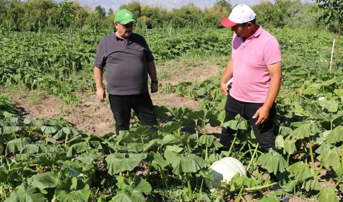 ERZİNCAN’DA TARIMSAL ÜRETİMDE BİZ