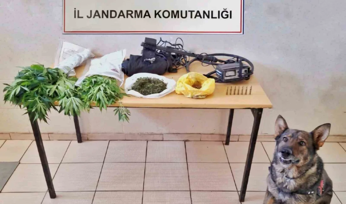 ERZİNCAN’DA JANDARMA MINTIKASINDA TEMMUZ