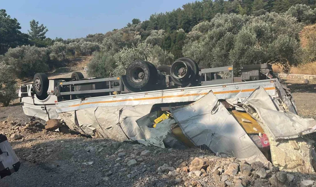 MUĞLA'NIN DATÇA İLÇESİNDE SEYİR