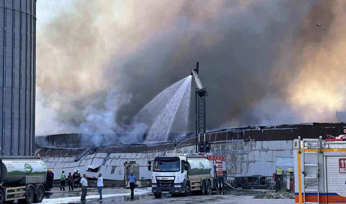 GAZİANTEP'TE HALI FABRİKASINDA ÇIKAN