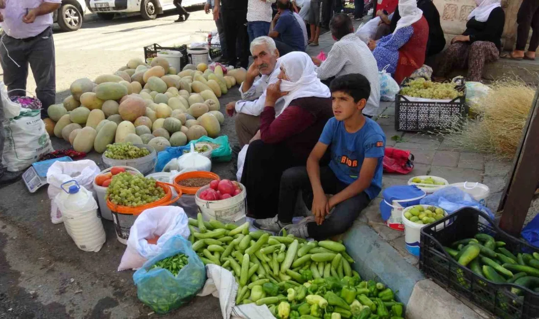 GERCÜŞ’TE ORGANİK ÜRÜNLERDEKİ BEREKET