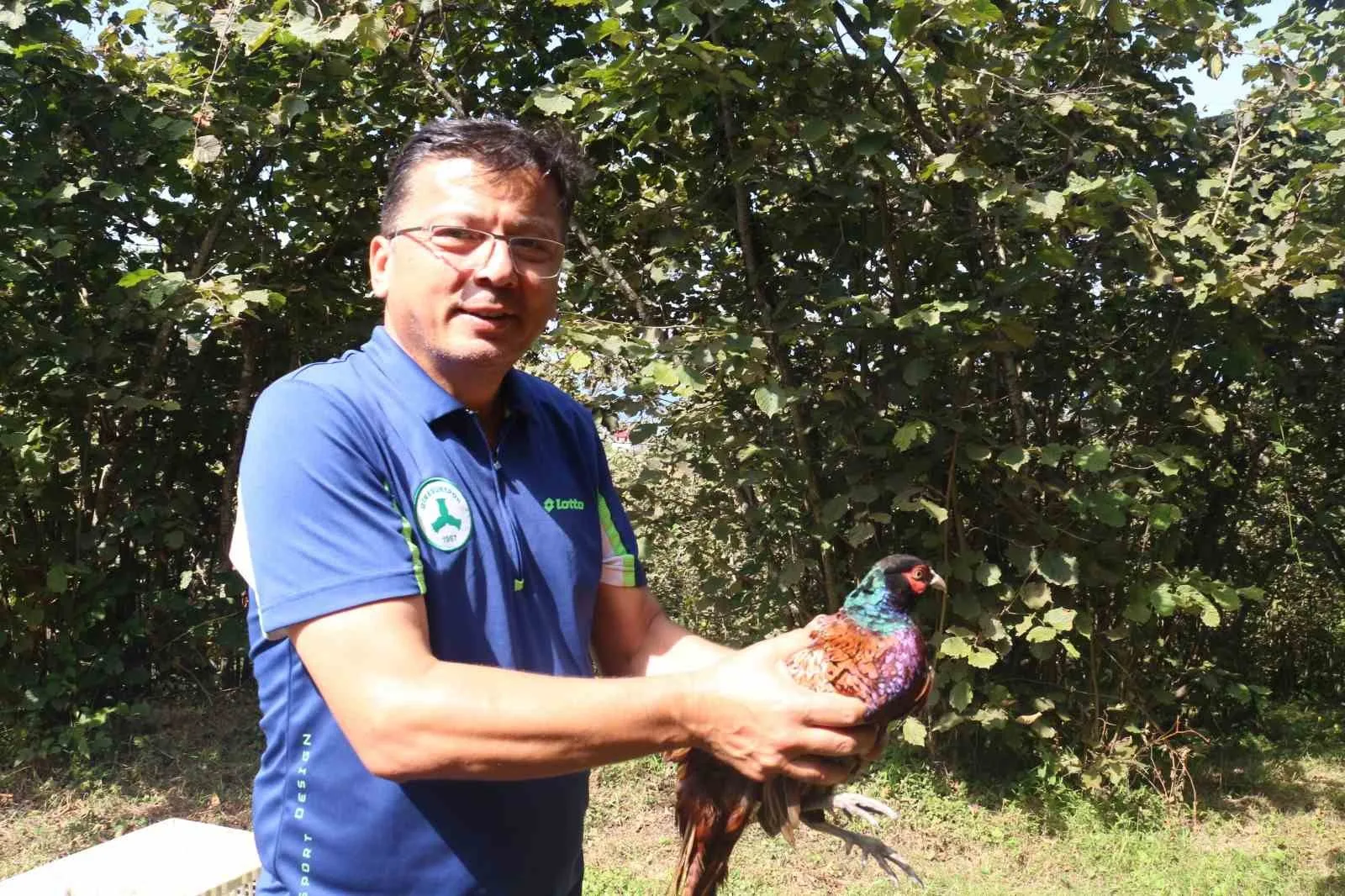 Giresun’da kene mücadelesine karşı doğaya sülün ve keklik salındı