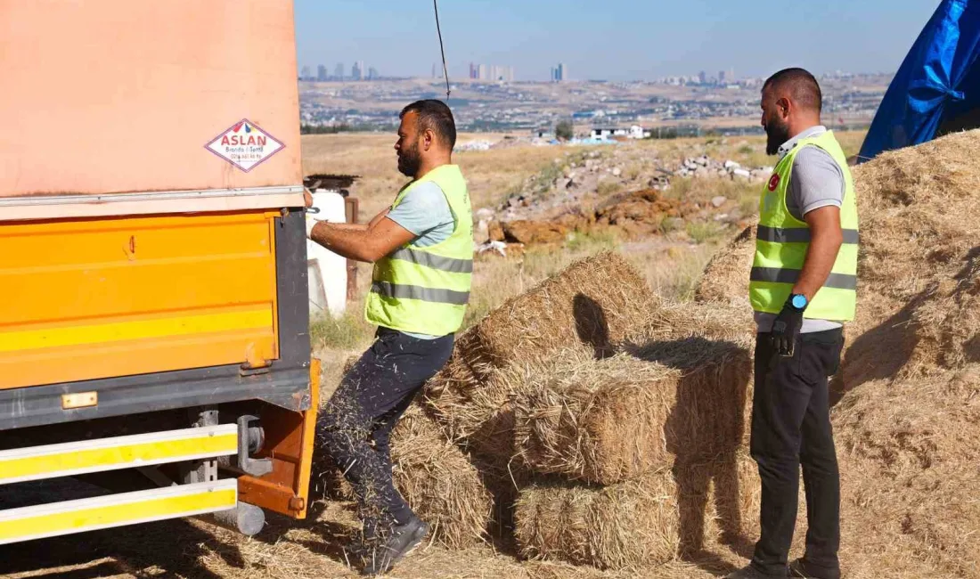 GÖLBAŞI BELEDİYESİ, ‘AZIMIZ ÇOK OLSUN’ SLOGANIYLA İLÇEDE TARIM VE HAYVANCILIKLA