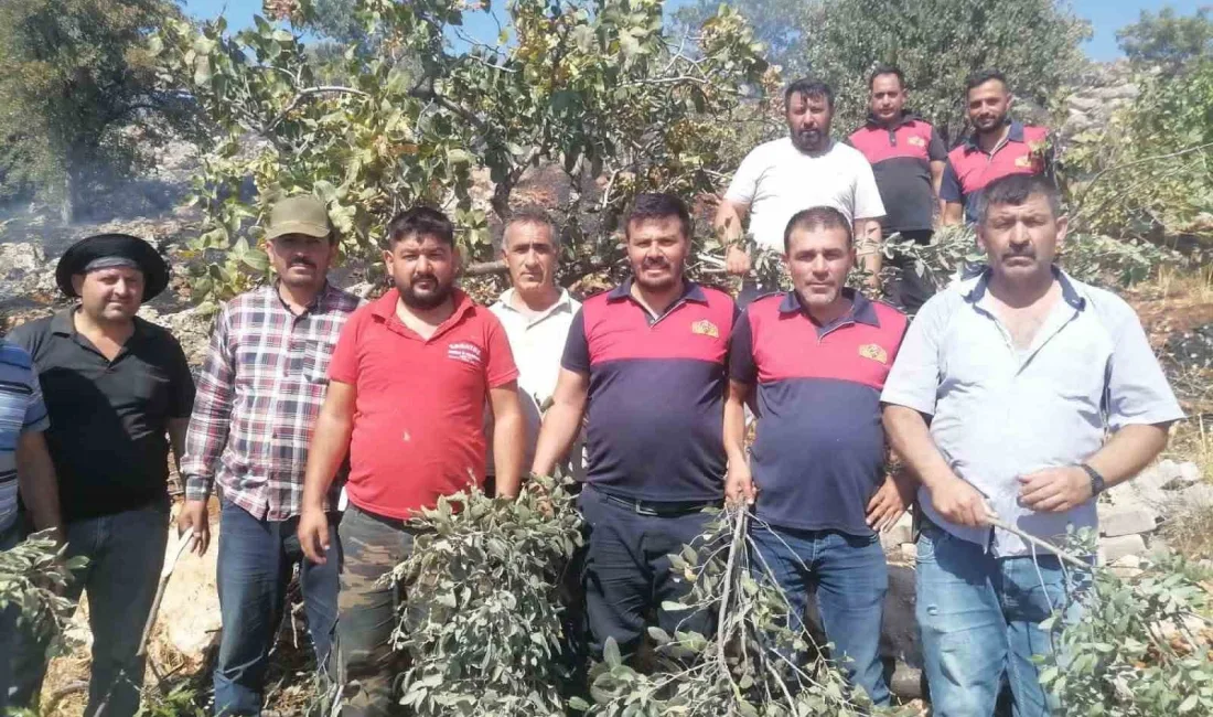 ADIYAMAN'IN GÖLBAŞI İLÇESİNDE İTFAİYE