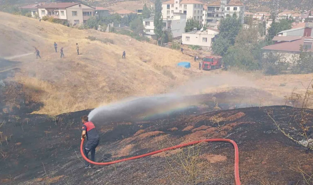 ADIYAMAN'IN GÖLBAŞI İLÇESİNDE OTLUK