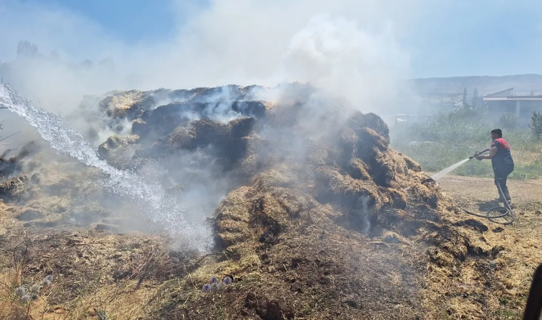 ADIYAMAN'IN GÖLBAŞI İLÇESİNDE BİR