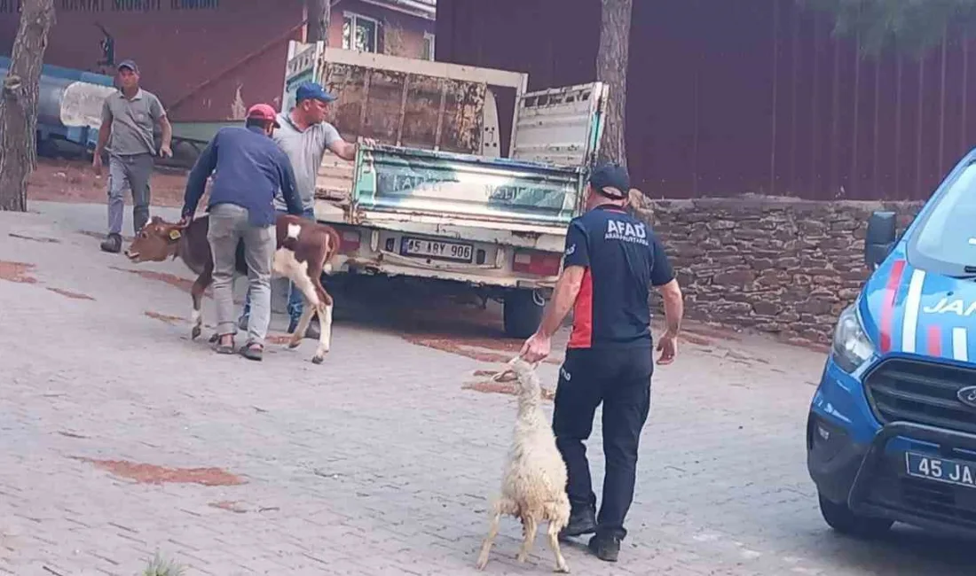 MANİSA'NIN GÖRDES İLÇESİNDE BAŞLAYAN