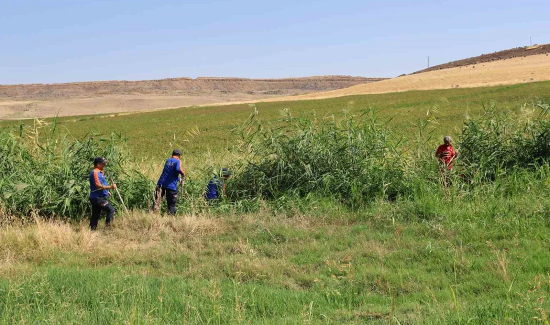 DİYARBAKIR'DA 8 YAŞINDAKİ NARİN