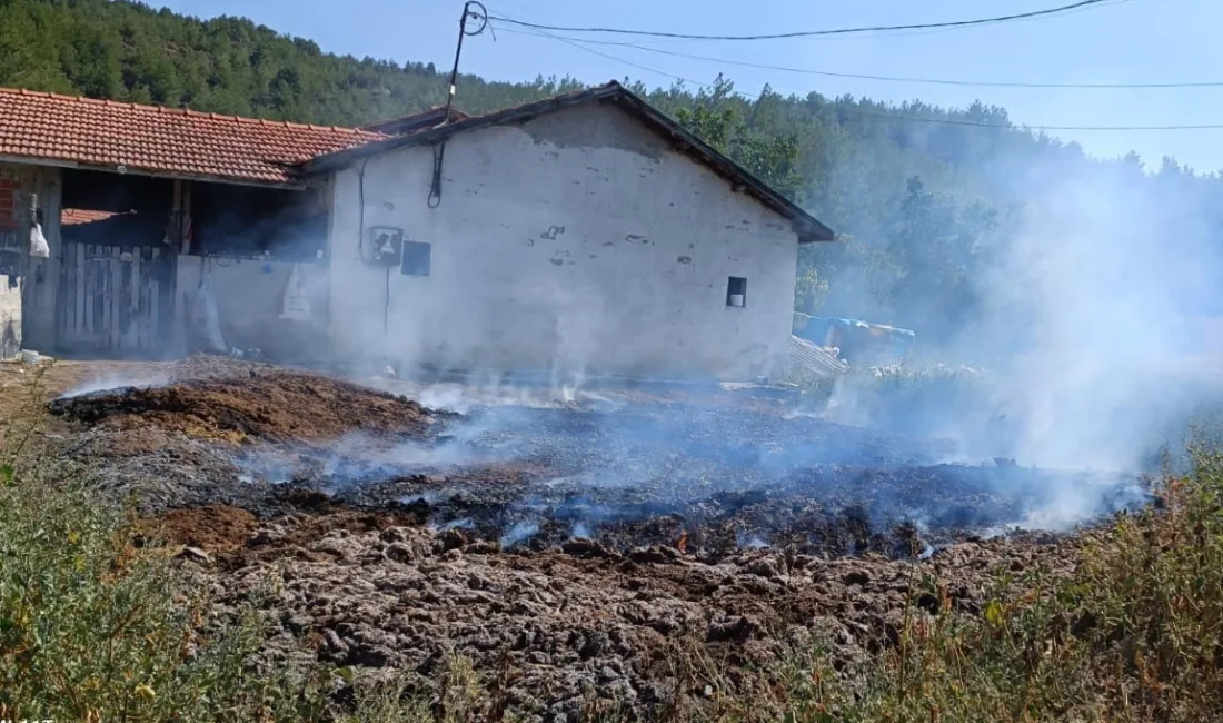 ÇORUM’UN OSMANCIK İLÇESİNDE ÇIKAN