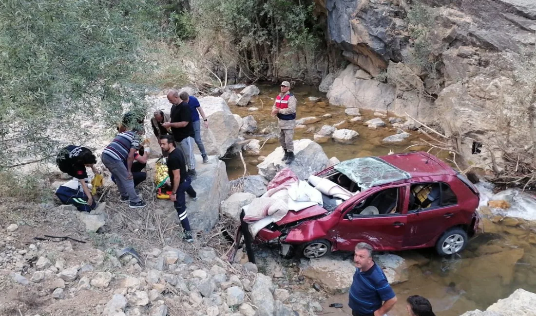 GÜMÜŞHANE’DE KÖY YOLUNDA KONTROLDEN