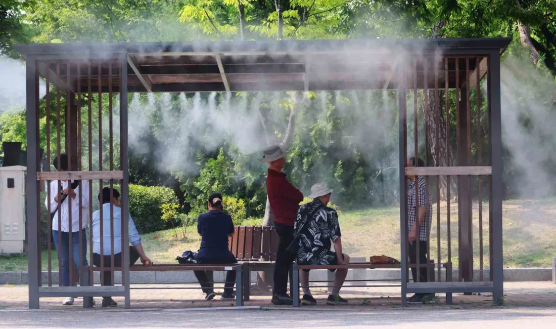 GÜNEY KORE'DE BU YIL