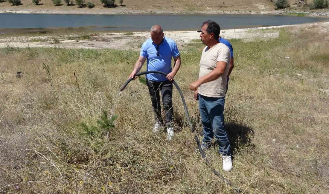 YOZGAT'TA GURBETÇİLER BOZKIRI YEŞİLLENDİRDİ