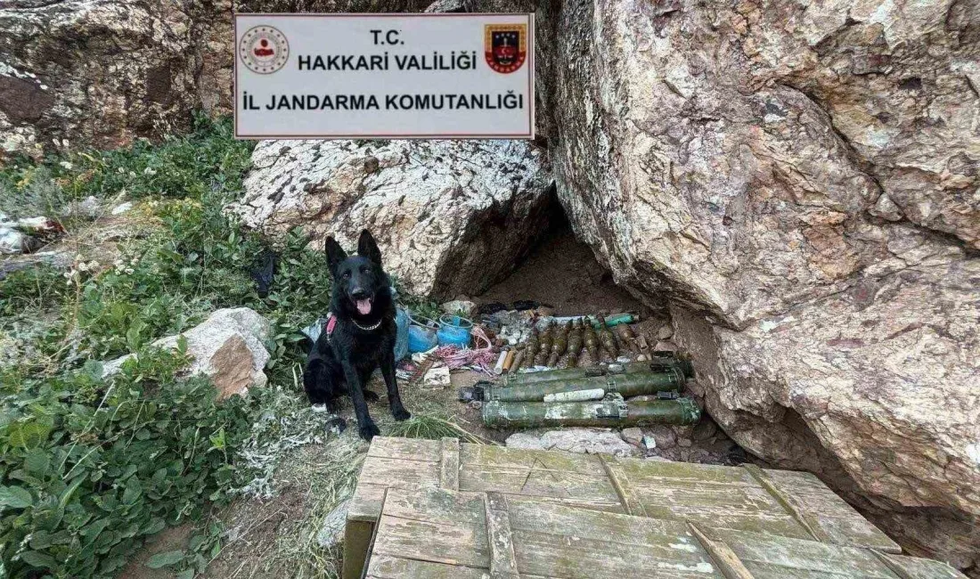 HAKKARİ'NİN ŞEMDİNLİ İLÇESİ KIRSALINDA