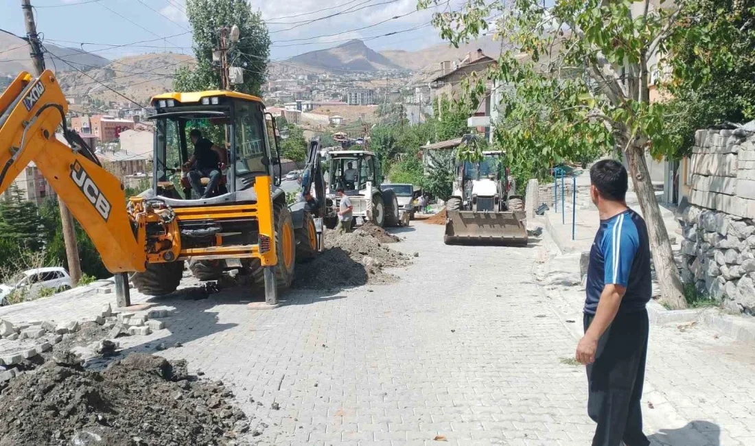 HAKKARİ SÜMBÜL MAHALLESİ'NDE İLK