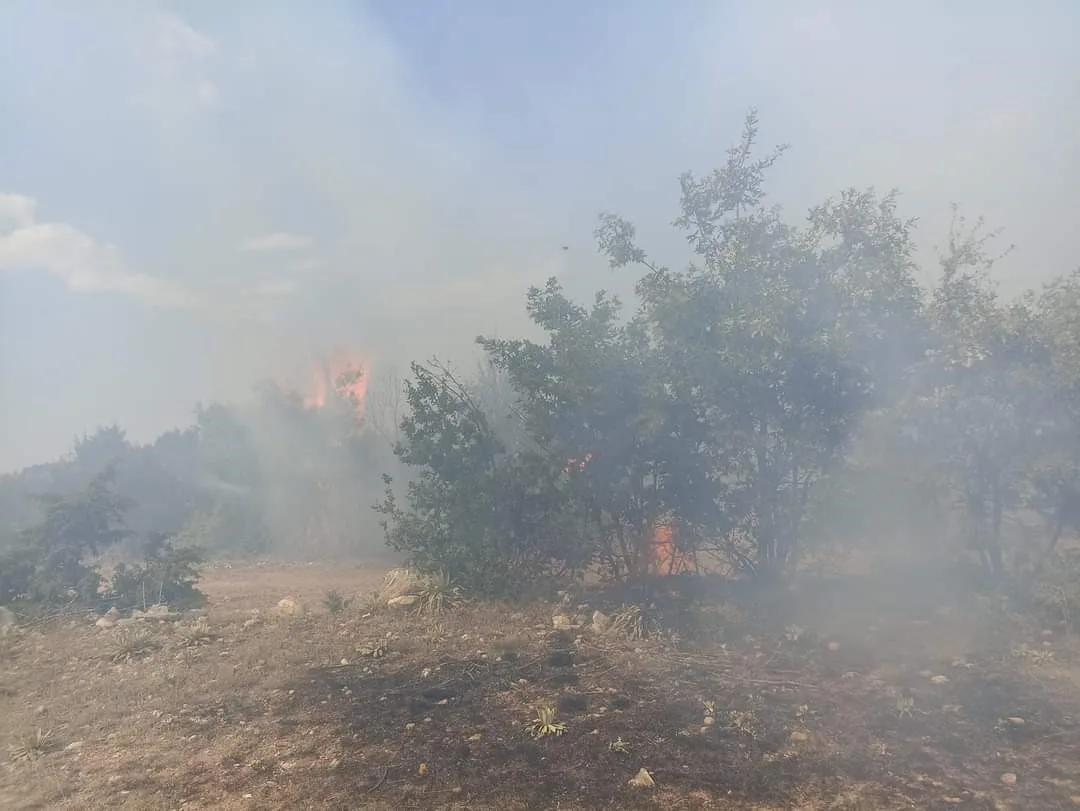 Han’da çıkan yangın büyümeden söndürüldü