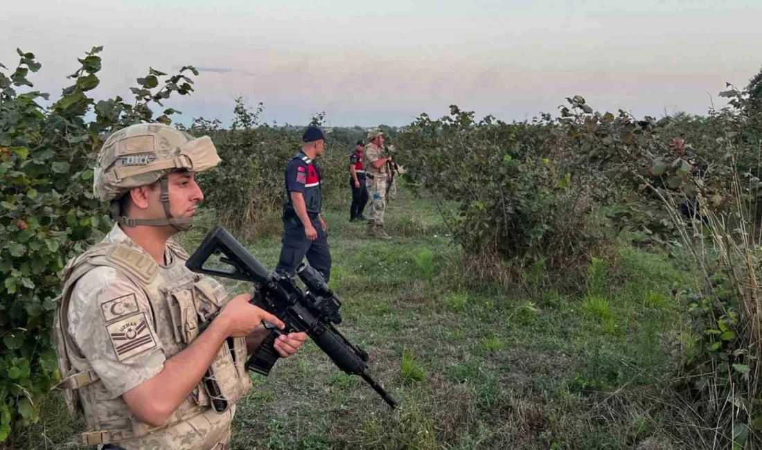 JANDARMA EKİPLERİ, FINDIK HIRSIZLIĞINI