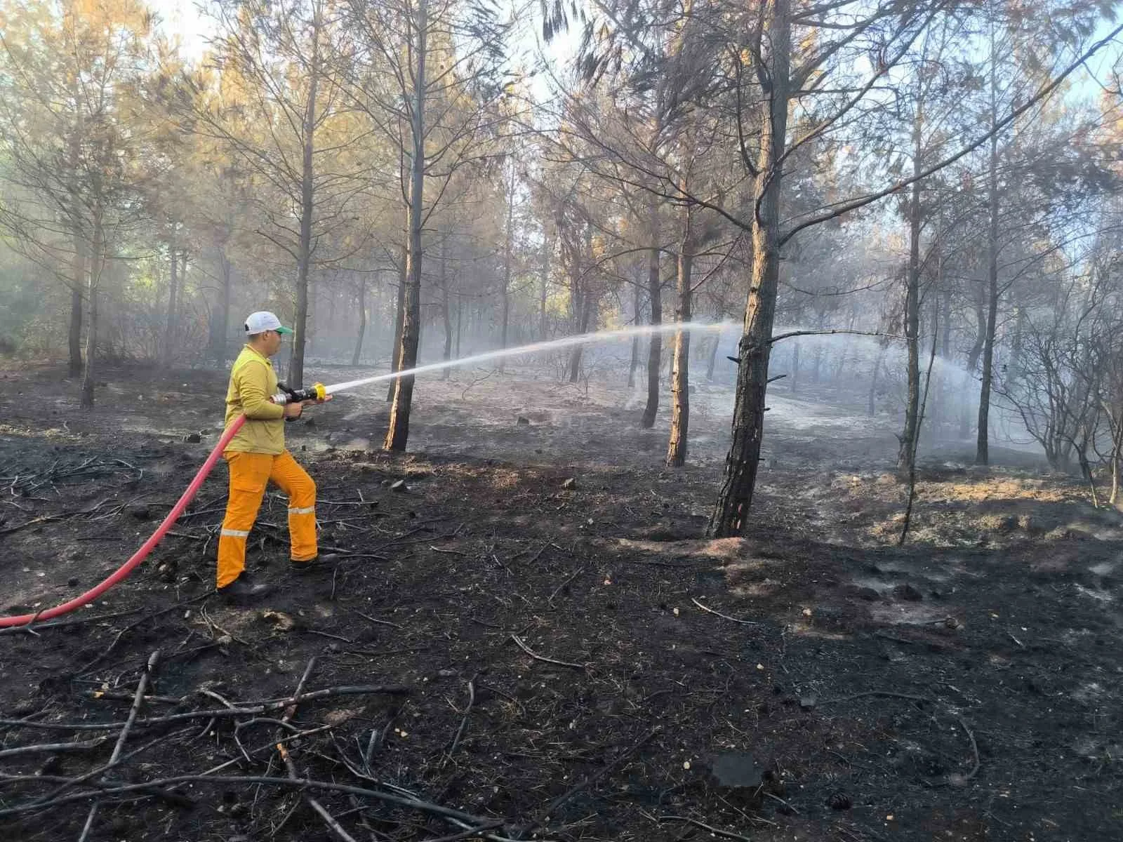 Hatay’da çıkan orman yangını 15. saatte kontrol altına alındı