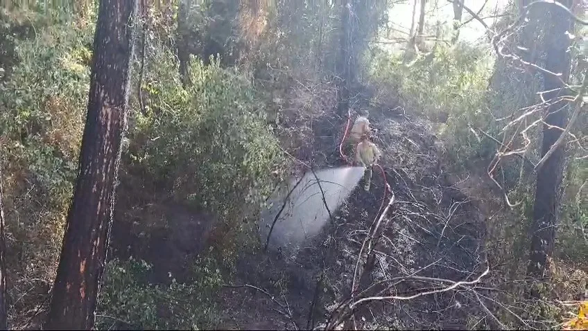 Hatay’da çıkan orman yangını kontrol altına alındı