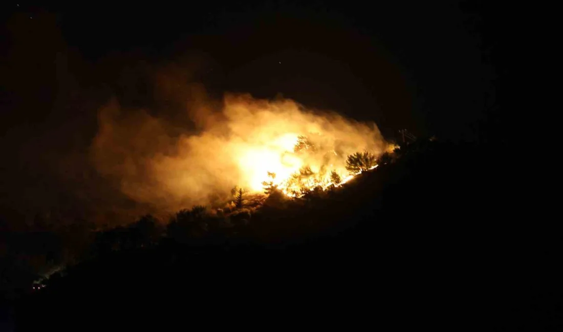 HATAY’DA ÇIKAN ORMAN YANGININA