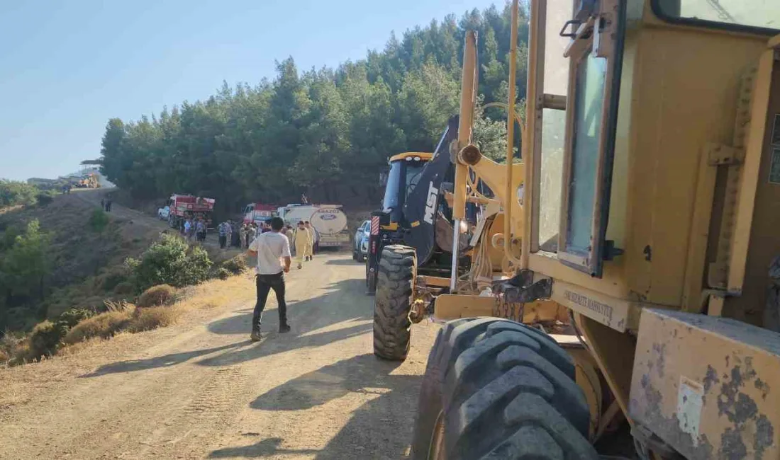 HATAY'DA ÇIKAN ORMAN YANGINI