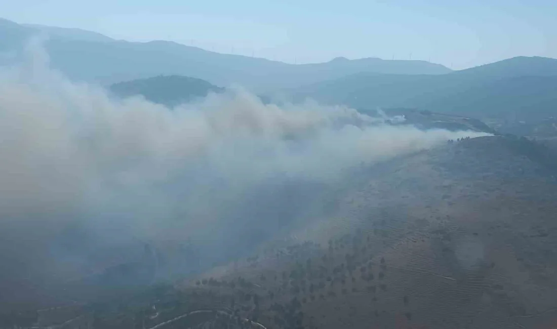 HATAY’DA ÇIKAN ORMAN YANGININA