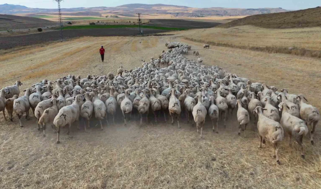 TARIM VE HAYVANCILIĞIN MERKEZİ