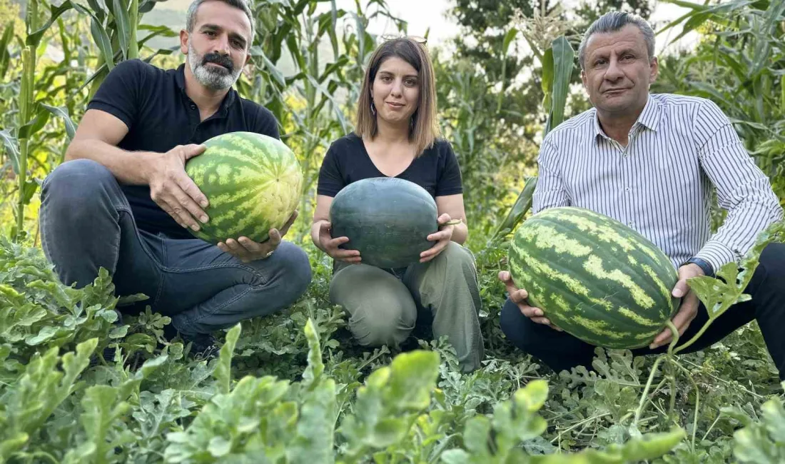 CAHİT ÇAKMAKÇI İSİMLİ ÖĞRETMEN,