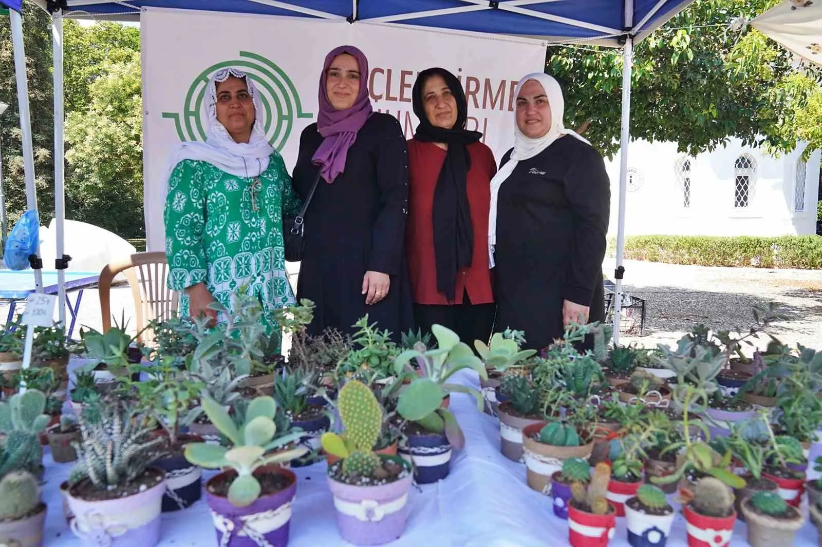 Hem tohumlar hem kadınlar güçleniyor