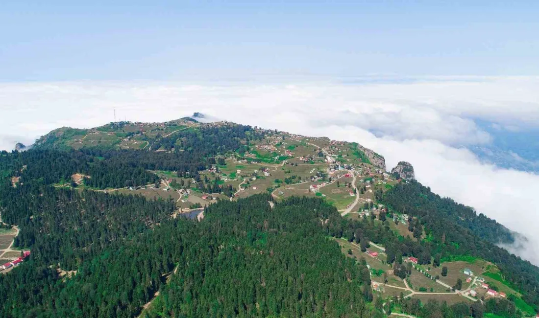 TRABZON’UN AKÇAABAT İLÇESİ SINIRLARINDA