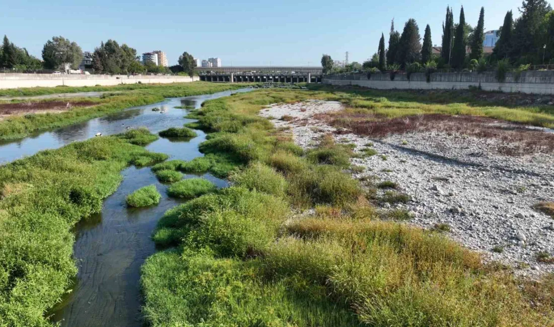 ADANA’DA SEYHAN NEHRİ ÜZERİNDE