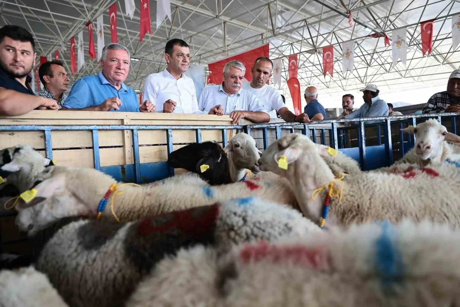 Honaz Belediyesi kadın üreticilerine koyun desteği verildi