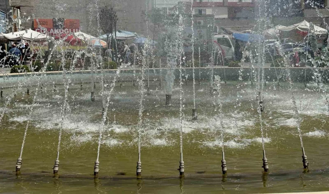 IĞDIR'DA SICAK HAVA ETKİSİNİ