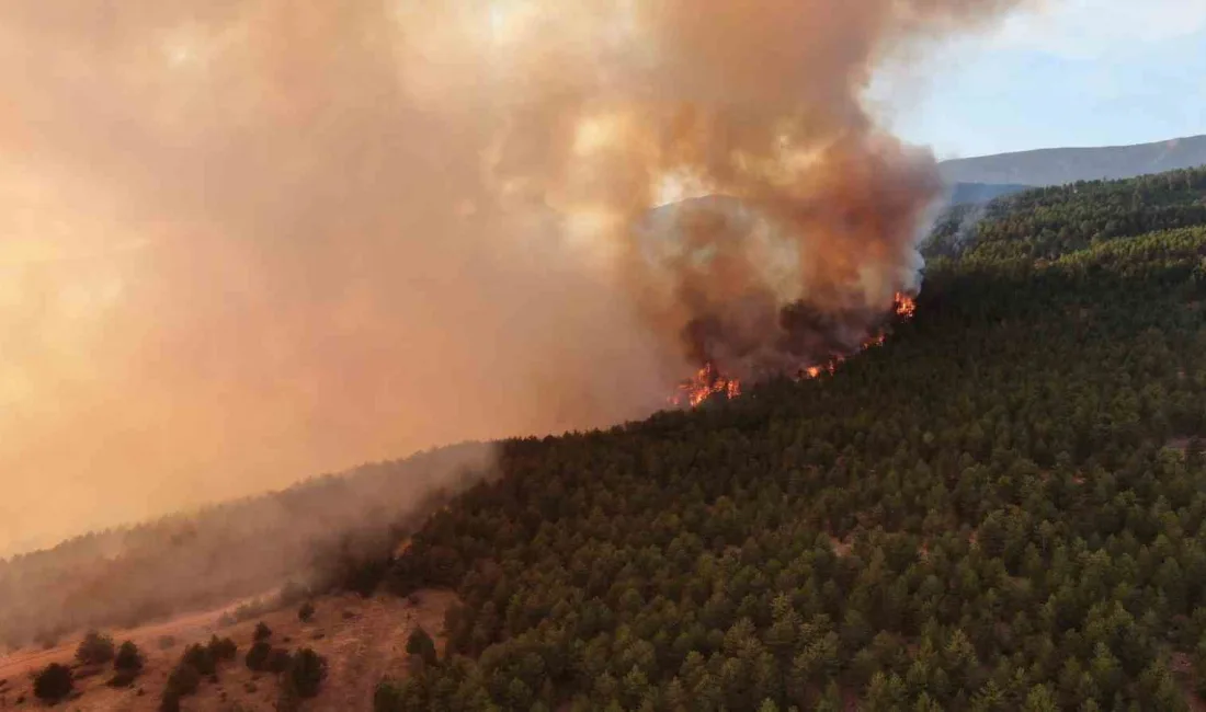 ÇANKIRI'NIN ILGAZ İLÇESİNDE ÇIKAN