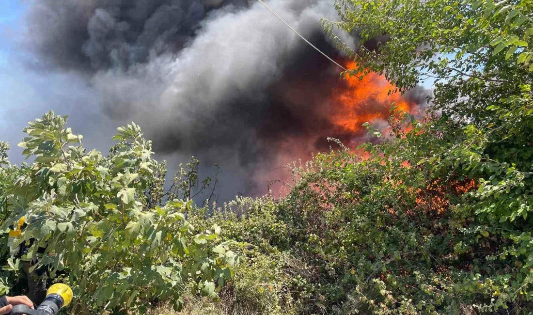 HATAY’DA İNŞAAT MALZEMELERİNİN BULUNDUĞU