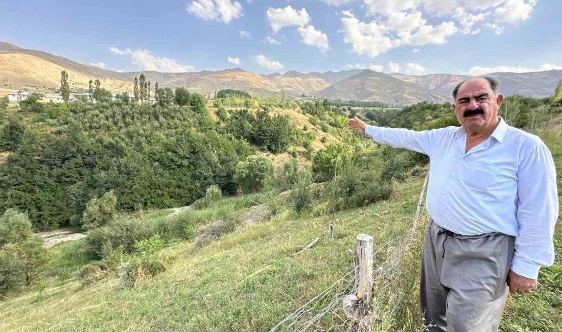 HAKKARİ’NİN YÜKSEKOVA İLÇESİNİN İRAN