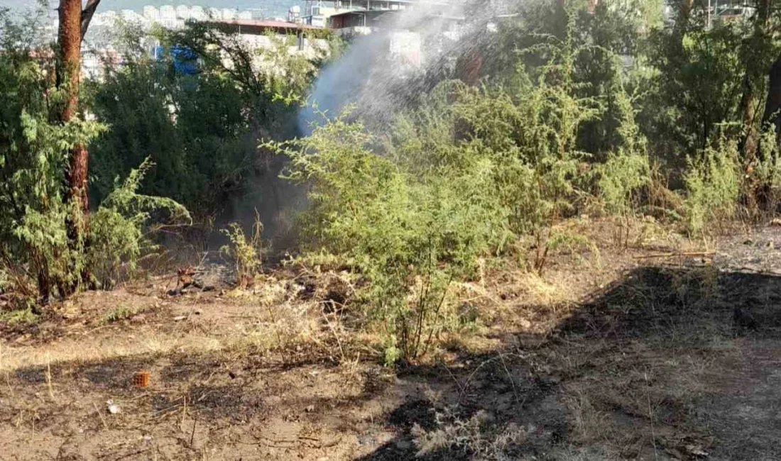 HATAY’IN İSKENDERUN İLÇESİNDE ÇIKAN