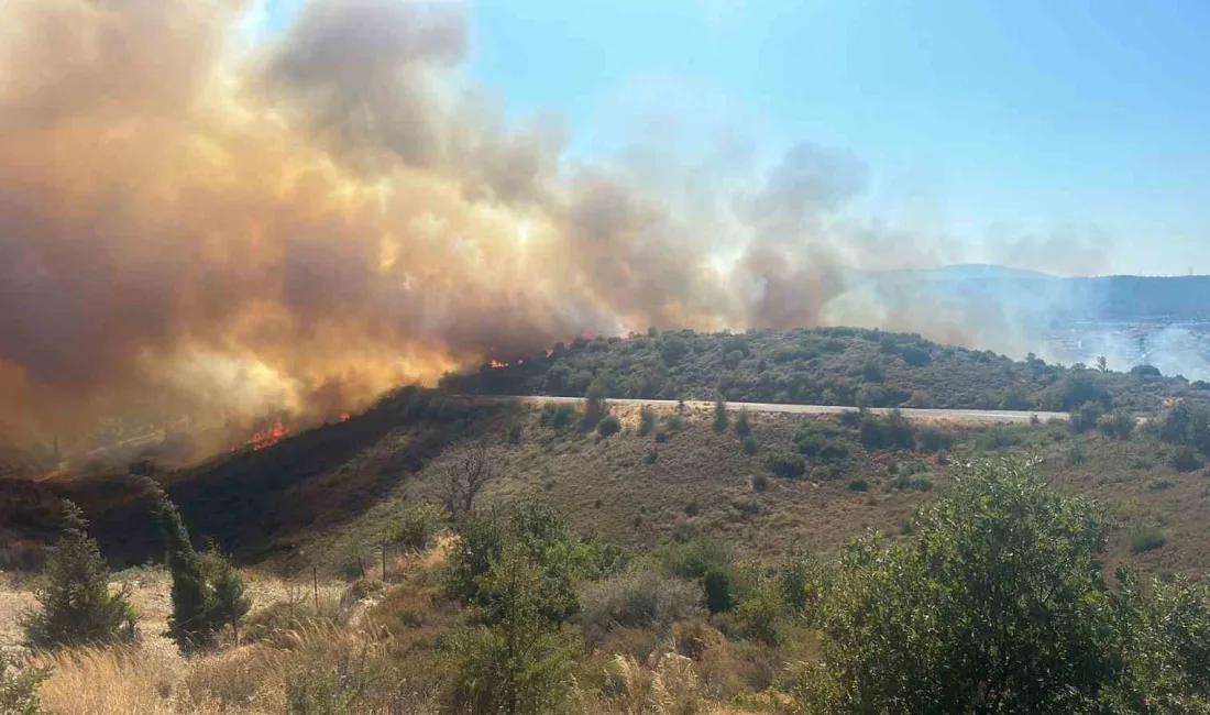 URLA İLÇESİNDE ORMANLIK ALANA