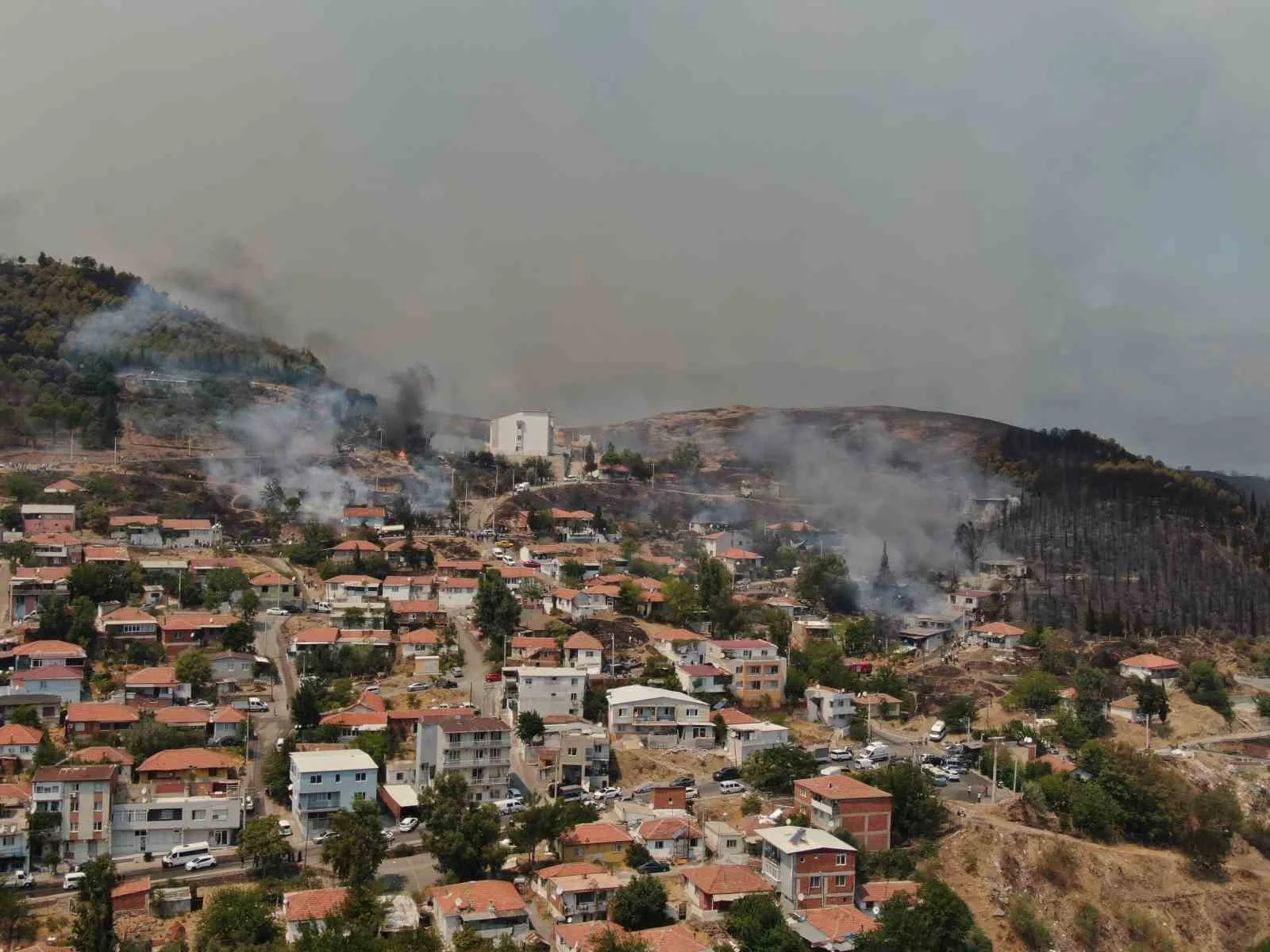 İzmir’deki orman yangını yerleşim yerlerine sıçradı: Bazı evler kül oldu