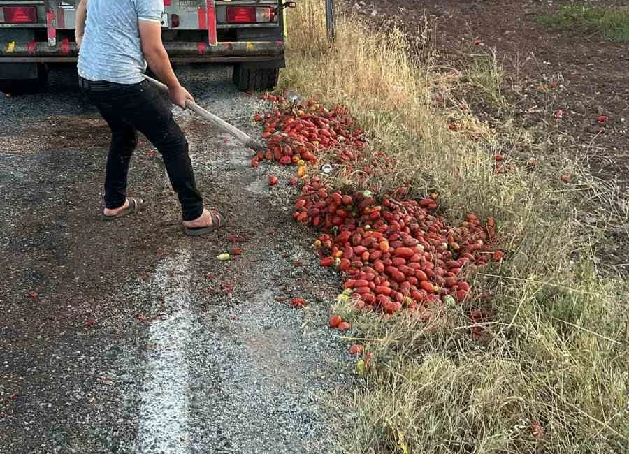 İZMİR'DEKİ YANGINI SÖNDÜREN İTFAİYE