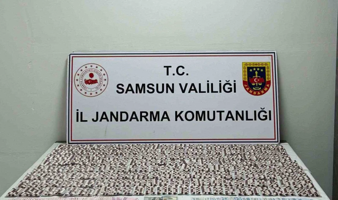 SAMSUN'DA JANDARMA EKİPLERİ TARAFINDAN