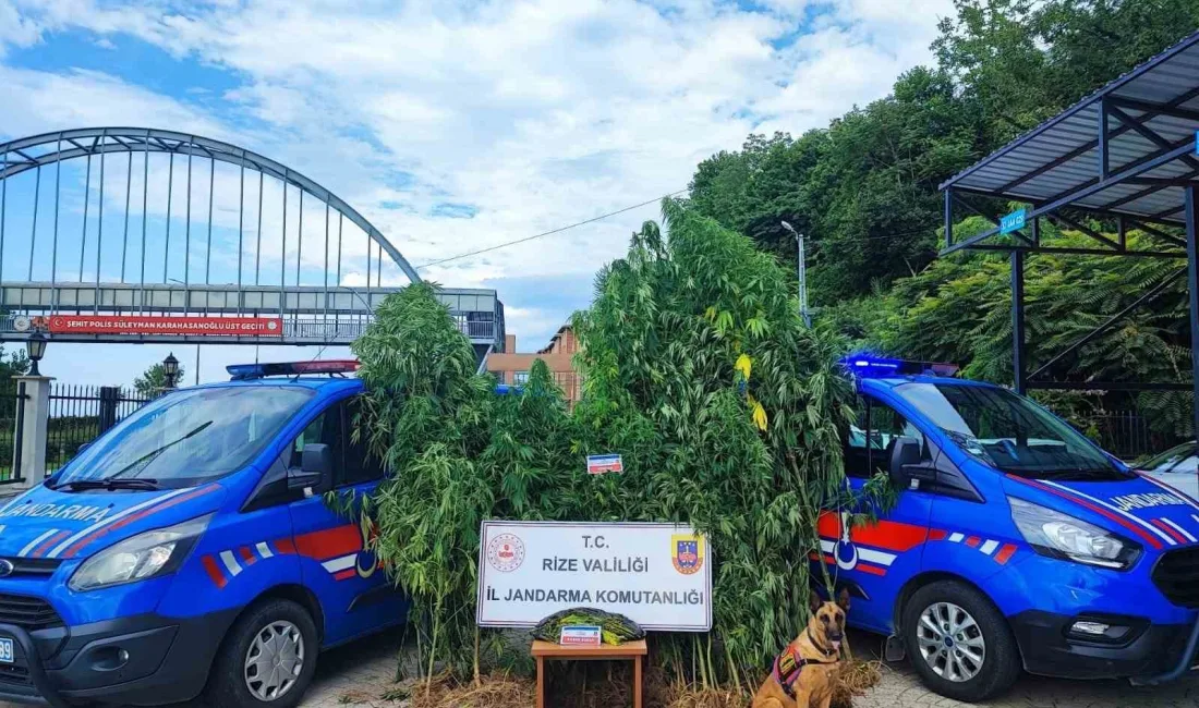 RİZE İL JANDARMA KOMUTANLIĞI