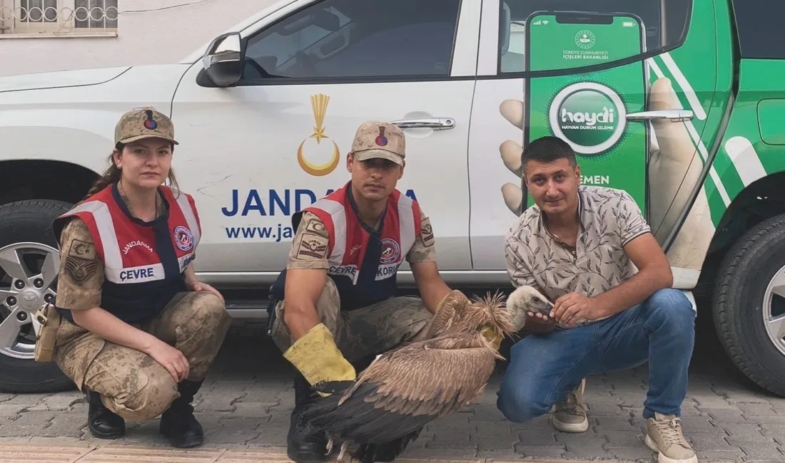 HAKKARİ İL JANDARMA KOMUTANLIĞI