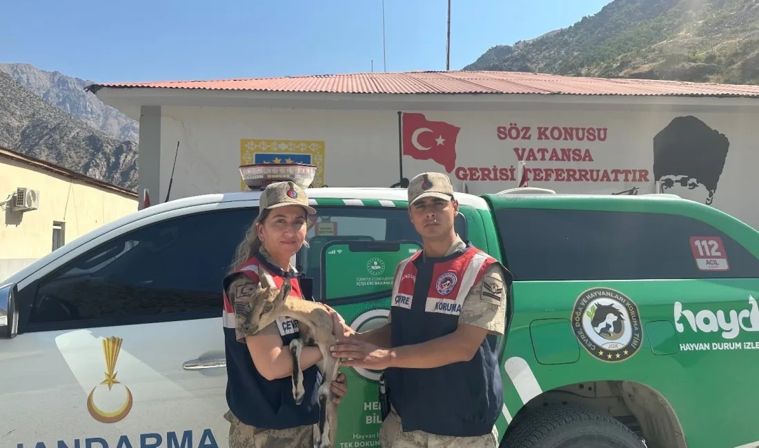 HAKKARİ'DE YARALI OLARAK BULUNAN